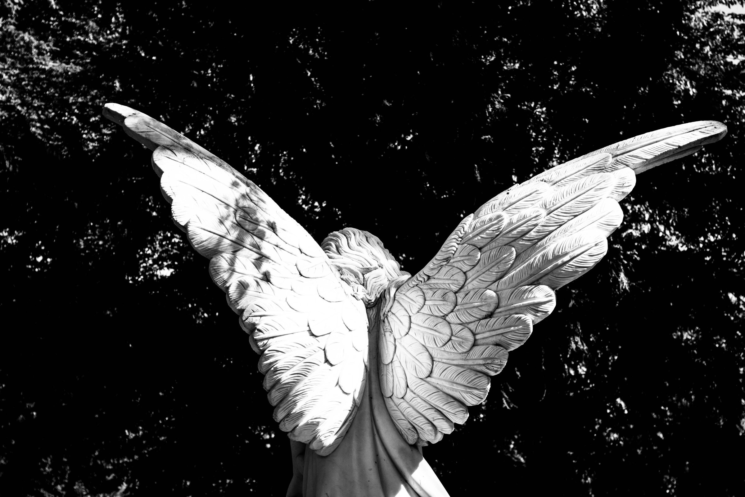 Angel Sculpture Wings